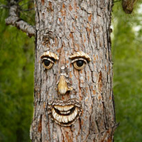 Garden Decorative Tree Face