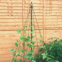 Garden Maypole