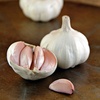 Garlic Bulbs - Arno