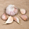 Garlic Bulbs - Lovers Collection Winter