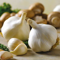 Garlic Bulbs - Lucky Dip