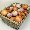 Garlic,  Onion & Shallot - Collection