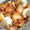 Garlic,  Onion & Shallot Collection