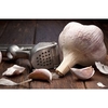 Garlic Plants - Rhapsody Wight