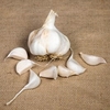 Garlic (Softneck) Bulbs - Maddock Wight