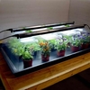 Geopod Heated Propagator - Large