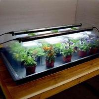 Geopod Heated Propagator - Large