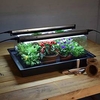 Geopod Heated Propagators