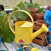 Get Me Gardening - Watering Can