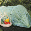 Giant Aerated Polythene Growing Tunnel