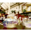 Gin Teapot and Tea Cups