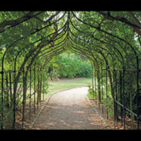 Gothic Pergola 1.2m with Extension