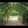 Gothic Pergola 1.2m with Lattice