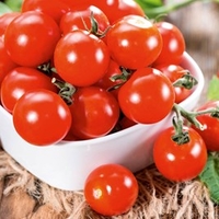 Grafted Tomato Plant - F1 Crimson Cherry