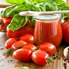 Grafted Tomato Plant - F1 Giulietta