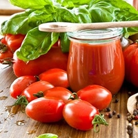 Grafted Tomato Plant - F1 Giulietta