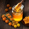 Grafted Tomato Plant - F1 Honeycomb