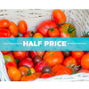 Grafted Tomato Plants - Collection
