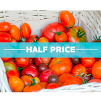 Grafted Tomato Plants - Collection