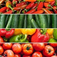 Grafted Vegetable Lucky Dip (6) P10