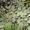 Green Slate Chippings - Bulk