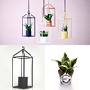 Greenhouse - Black 6cm Pot