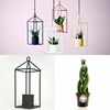 Greenhouse - Black 6cm Pot
