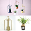 Greenhouse - Brass 6cm Pot