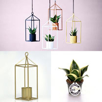 Greenhouse - Brass 6cm Pot