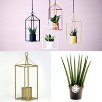 Greenhouse - Brass 6cm Pot