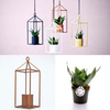 Greenhouse - Copper 6cm Pot