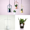 Greenhouse - White 6cm Pot