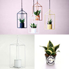 Greenhouse - White 6cm Pot