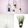 Greenhouse - White 6cm Pot