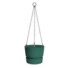 Greenville Hanging Basket - Leaf Green
