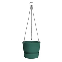 Greenville Hanging Basket - Leaf Green