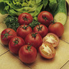 Grow Bag Plants - Collection