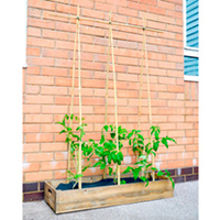 Grow Bag Wooden Crate Kit