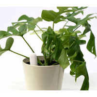 Grow Care Home
