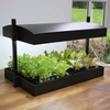 Grow Light and Tray