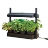 Grow Light Garden - Black
