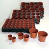 Growing on Pots and Trays,  6 Trays & 48 13cm Pots