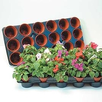 Growing On Pots and Trays (Small)