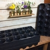 Growing On Trays and Pots - Large Box