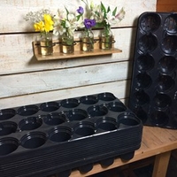 Growing On Trays and Pots - Large Box
