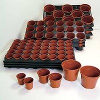 Growing-on Trays and Pots (Large)