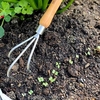 Hand Cultivator with 22cm Cherry Handle