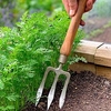 Hand Weeding Fork with 22cm Cherry Handle