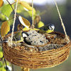 Hanging Circle Bird Feeder