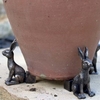Hare Pot Feet